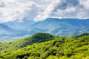 Actividad - Tour a la Sierra gorda con comida y entradas