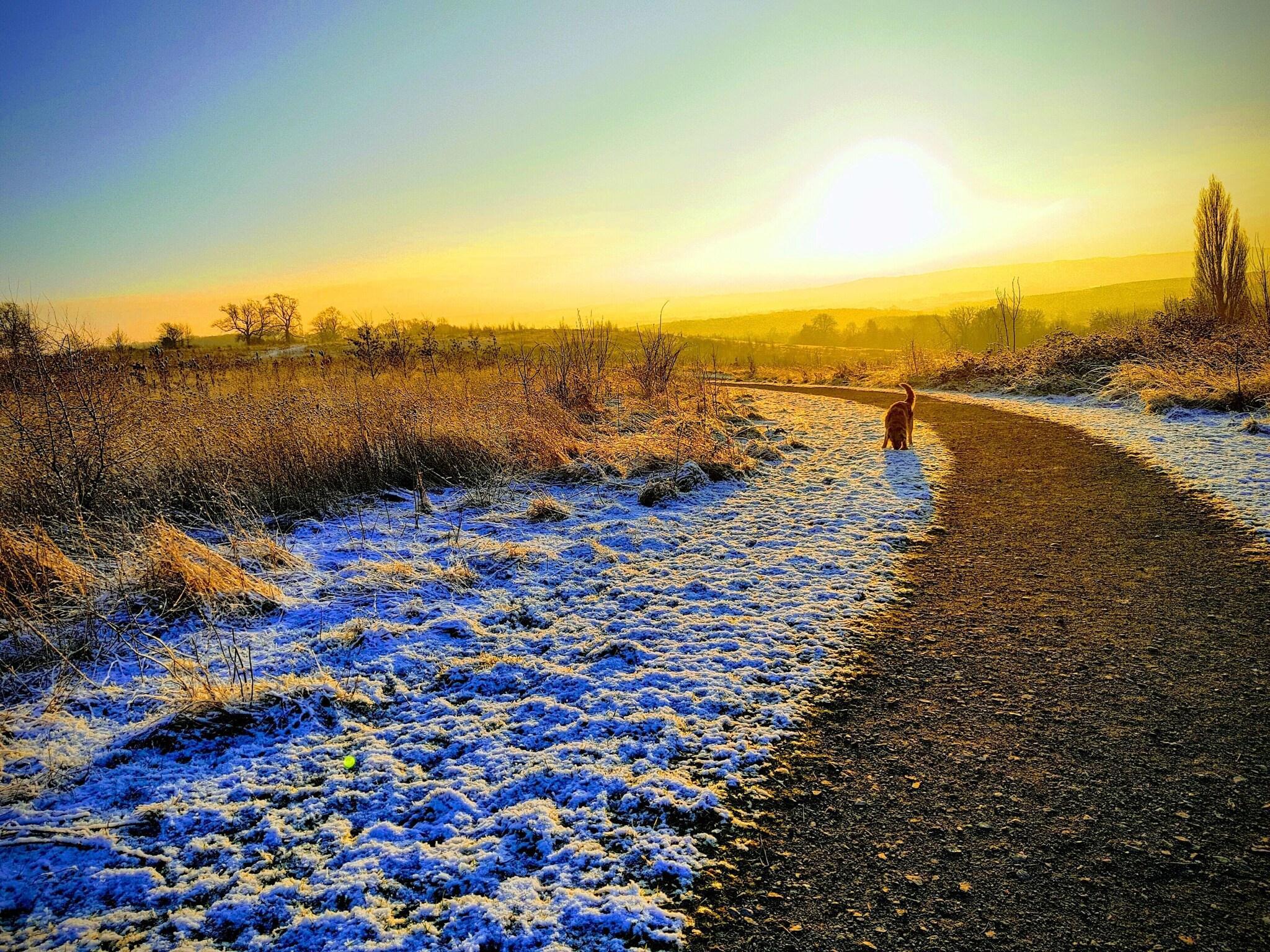 Vista Exterior Wisteria Haze