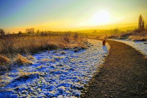 Alojamiento - Wisteria Haze