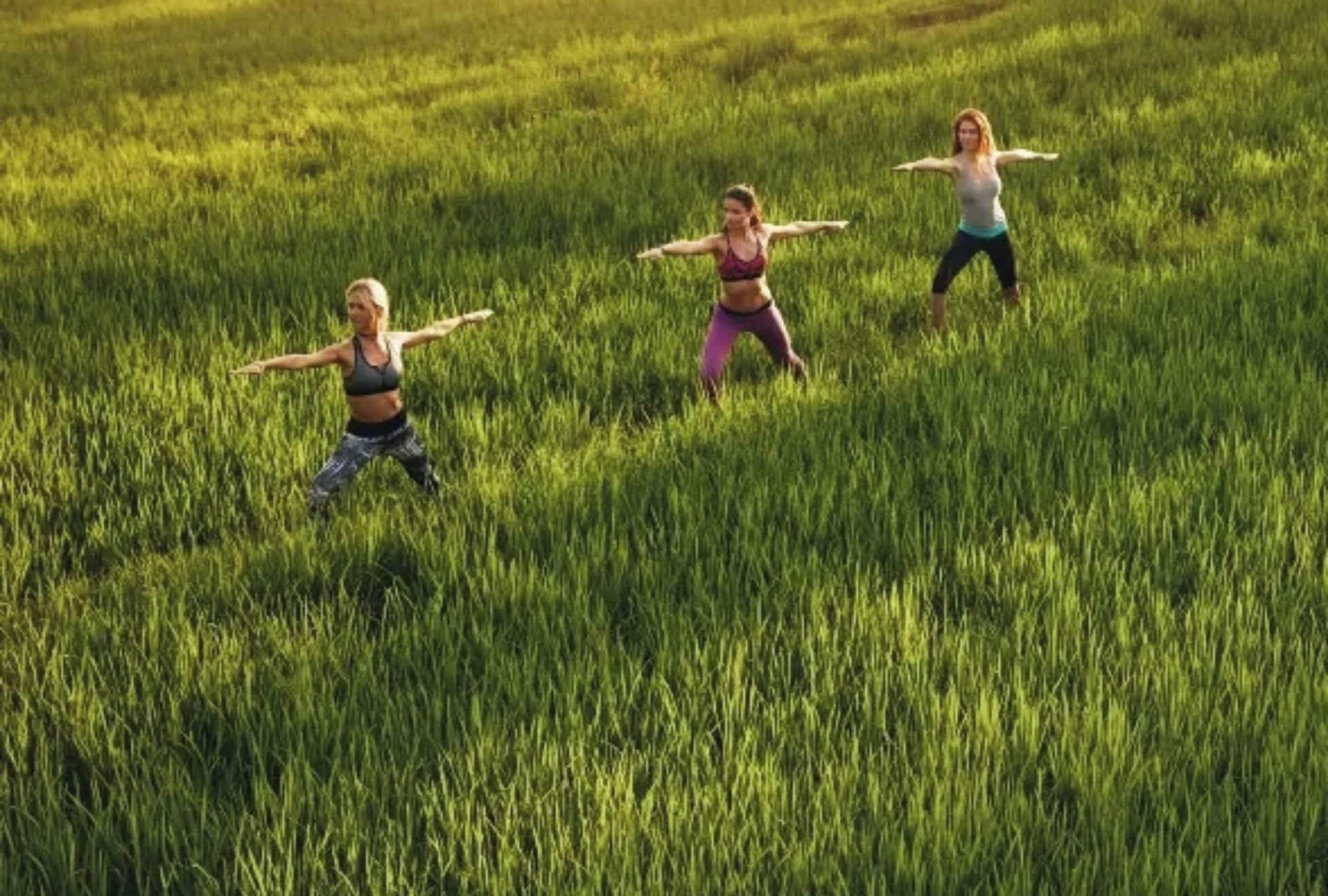 Gimnasio Sinharaja Serenity Retreat