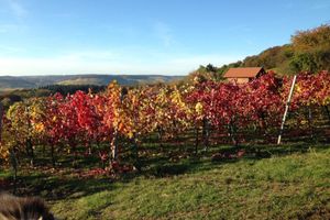 Alojamiento - Haus & Hof