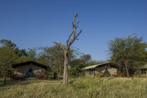 Alojamiento - Mbuzi Mawe Serena Camp