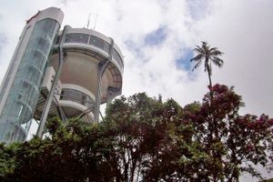 Vuelo - Vuelos a Manizales