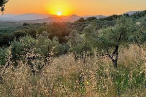 Alquiler Vacacional - Bioagriturismo Benessere LA COLLINA - LA CHIESA - You love something special