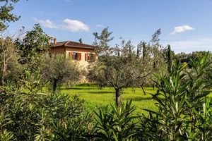 Alojamiento - Agriturismo Bio Fattoria Casetta