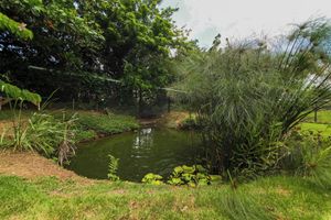 Alojamiento - BlueEcolandia