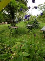 Alojamiento - Les jardins de Nanine