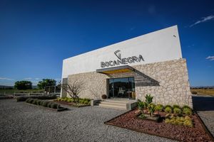 Alojamiento - Hotel Rio Tequisquiapan
