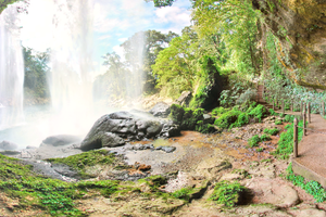 Actividad - Palenque, Cascadas Agua Azul y Misol Ha