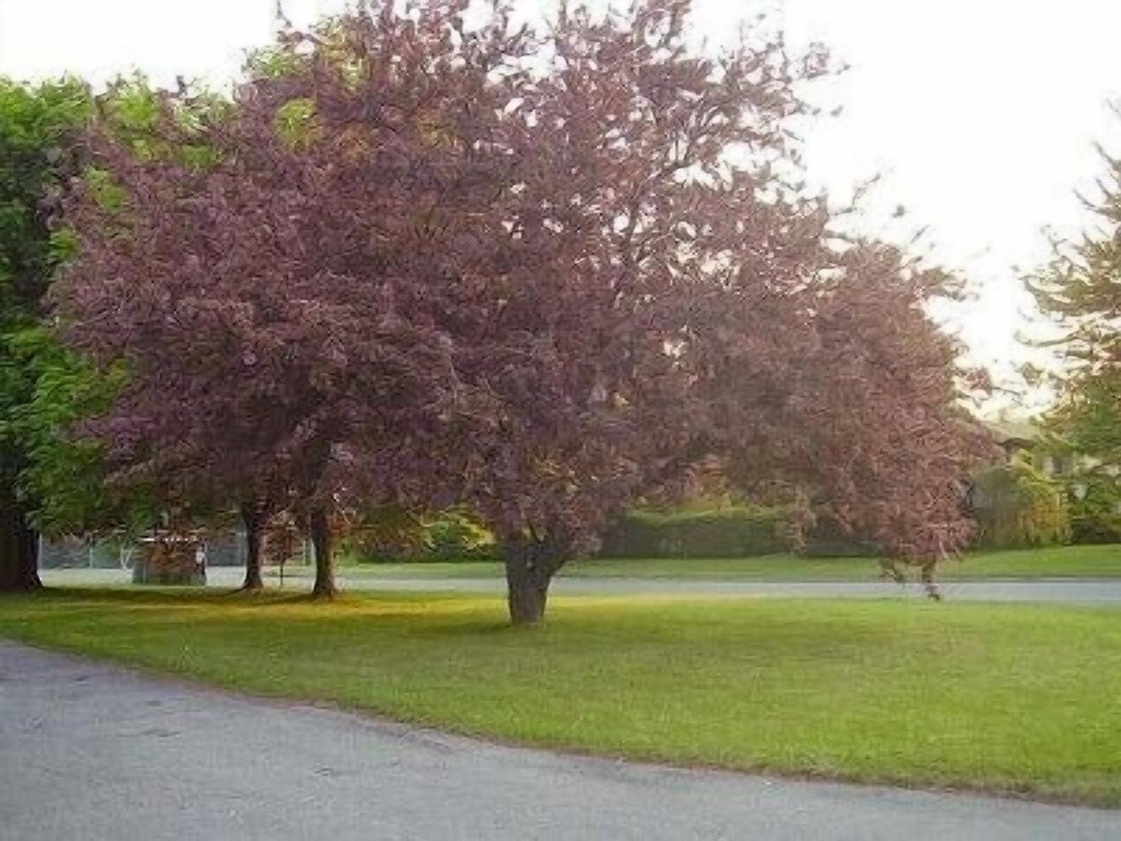 Vista Exterior Niagara-on-the-Lake Furnished Rentals