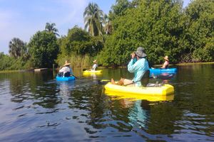 Actividad - Birdwatching and Wildlife Expedition - Half-Day Tour