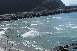 Alquiler Vacacional - Bilbao - ORIO - San Sebastian. Housing for tourist use (ESS02545). WIFI