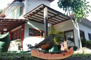 Alojamiento - Pousada Cantinho do Sossego