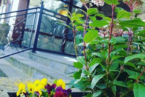 Alojamiento - Hotel Den Helder