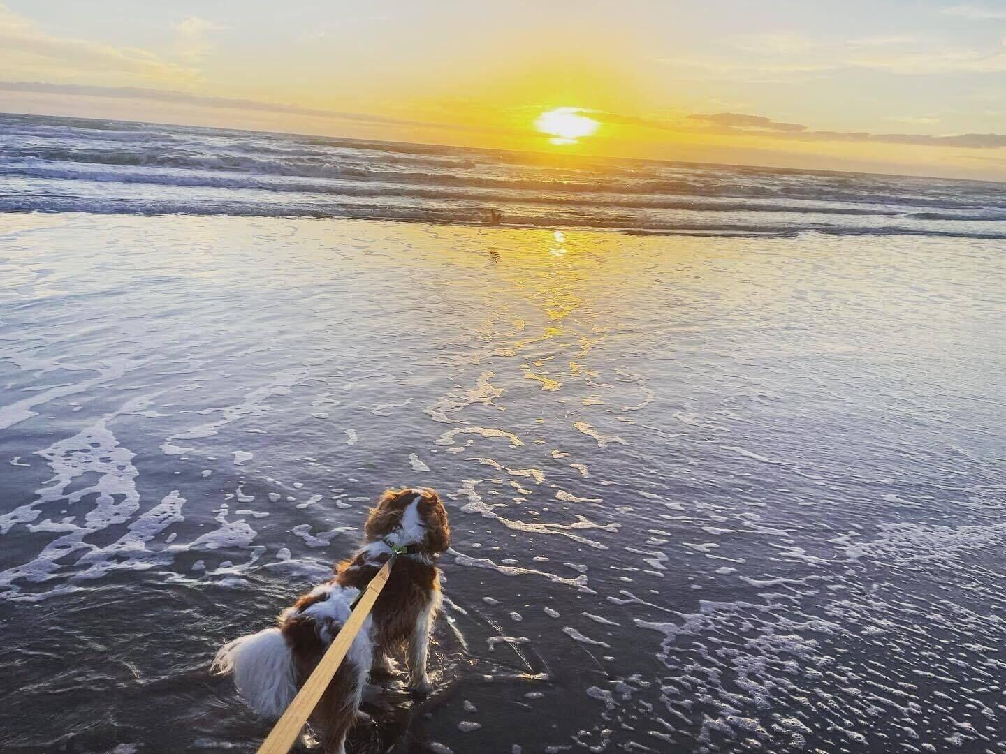 Playa Coco Beach Hotel on South Padre Island