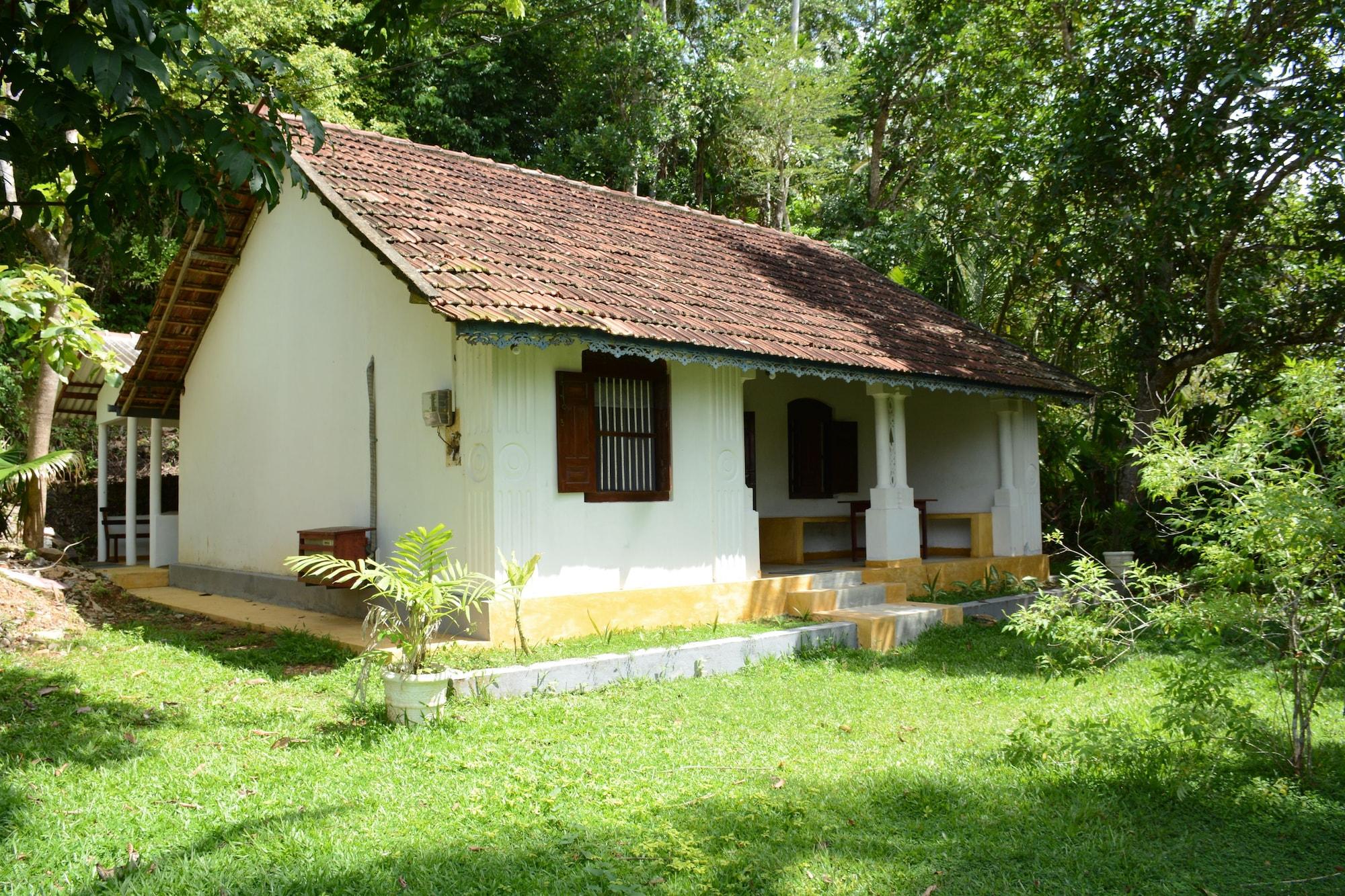 Instalaciones Recreativas Jungle house