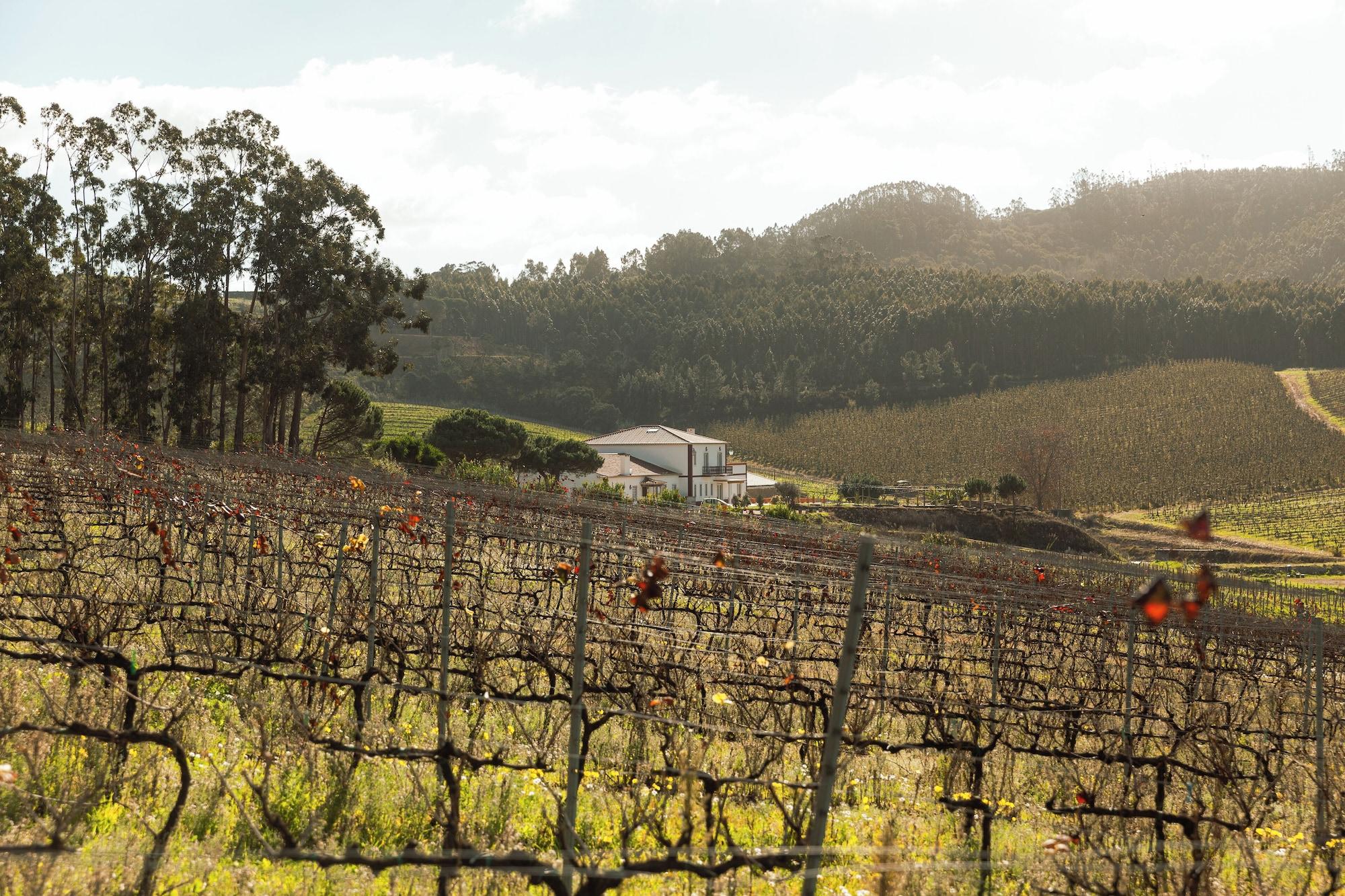 Varios Quinta da Murnalha