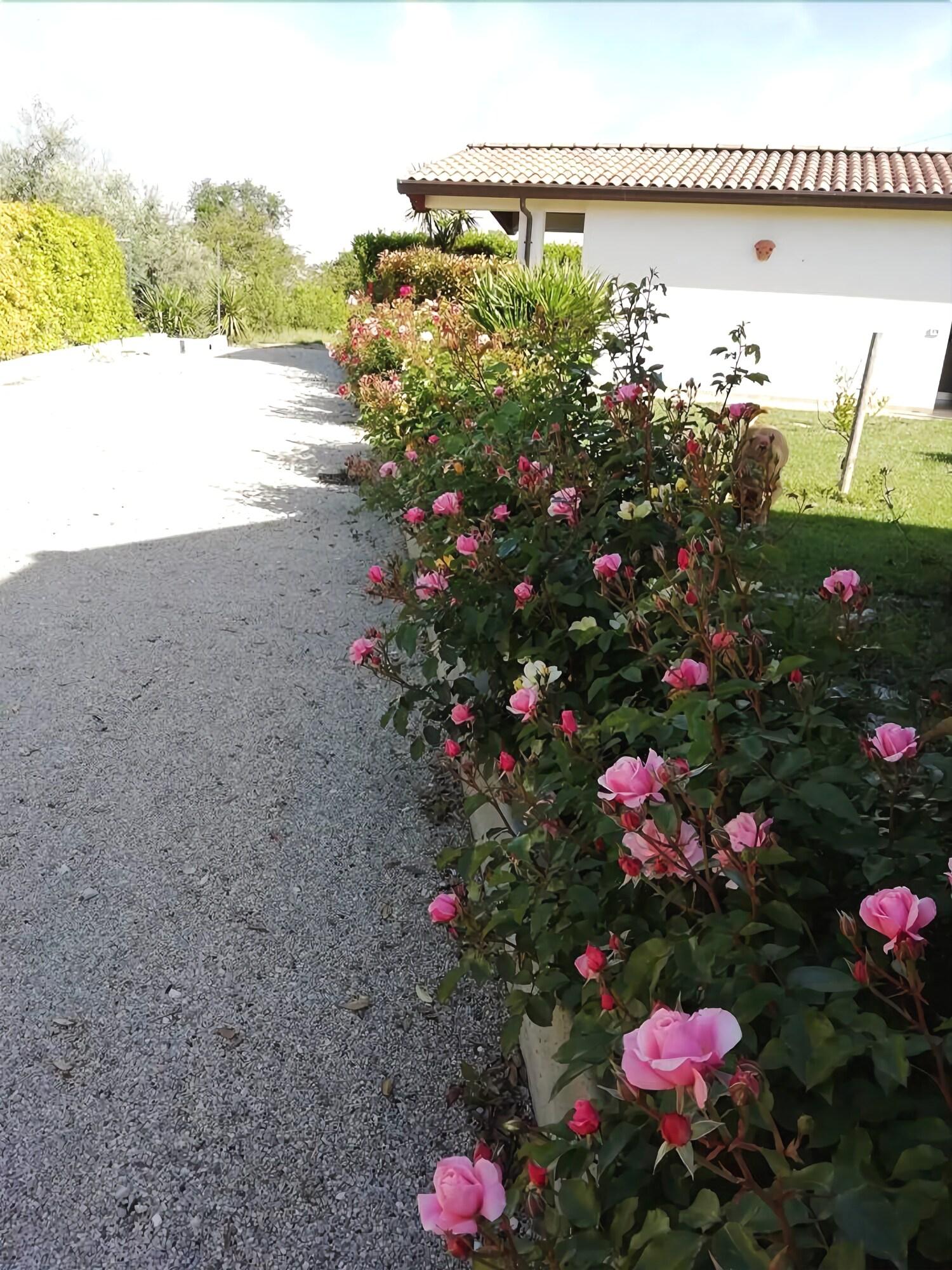 Comodidades del Alojamiento Agriturismo Il Grappolo