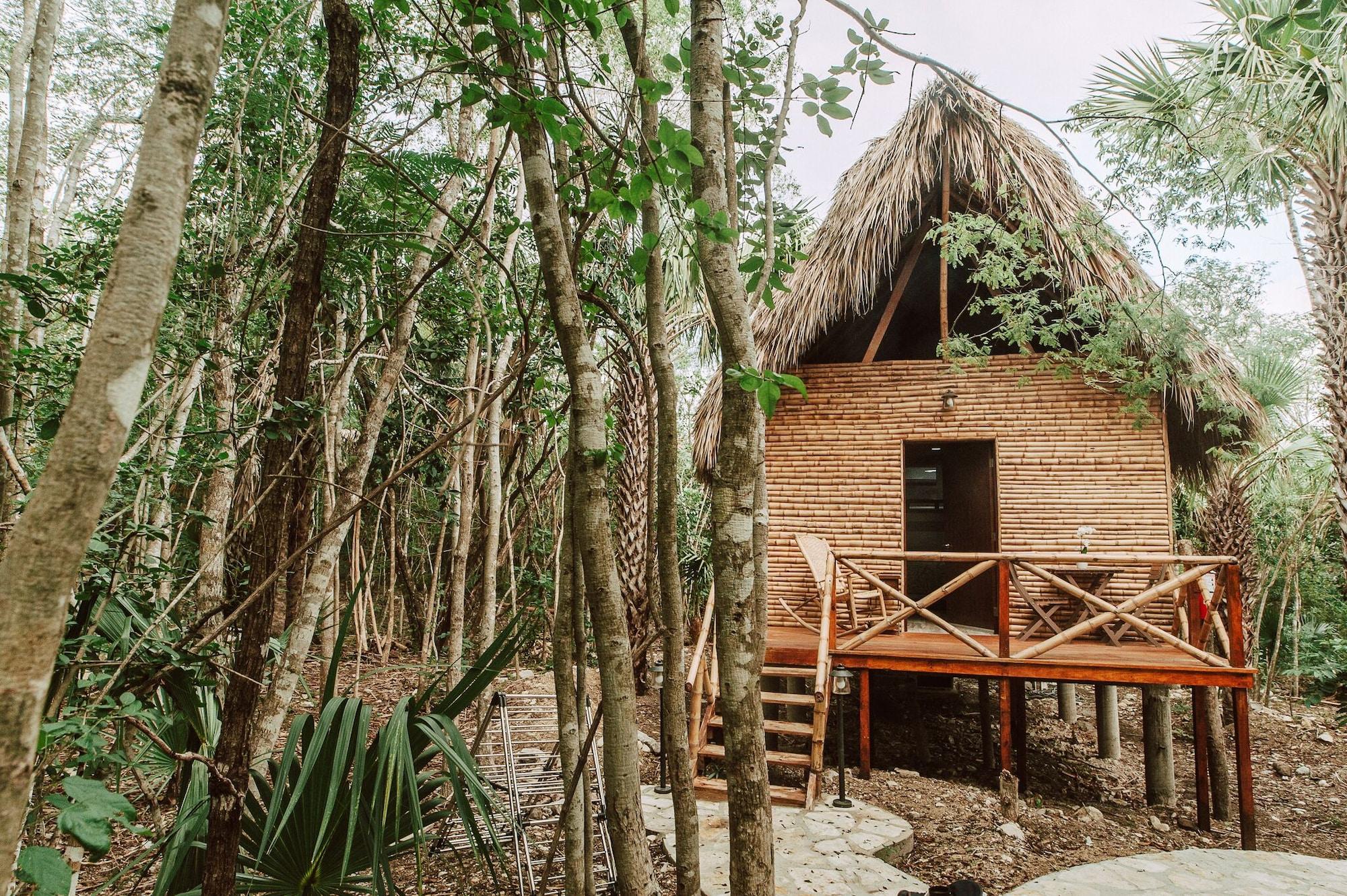 Vista Exterior Selva Teenek