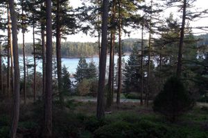 Alojamiento - Inn to the Woods B&B
