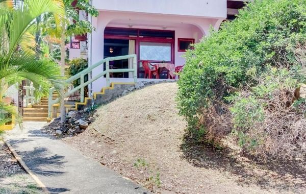 Flamingo Marina Resort - Hoteles pet friendly en Guanacaste, Costa Rica
