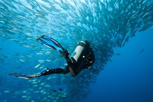 Actividad - Buceo certificado con 2 tanques en La Paz