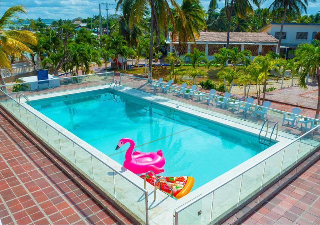 Vista Piscina Hotel Dorado Plaza Punta Arena