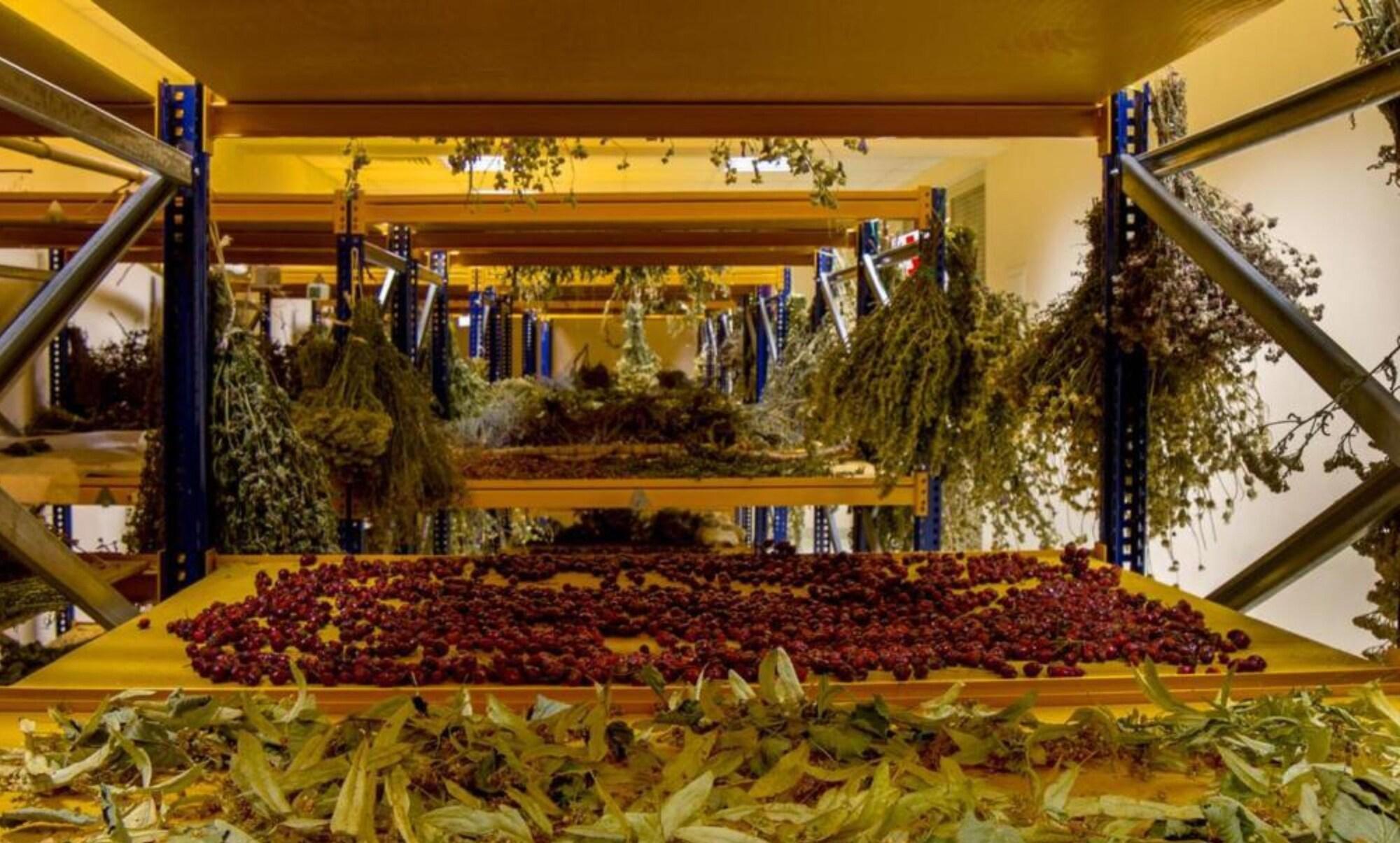 Vista Lobby Bioli Medical Wellness Resort