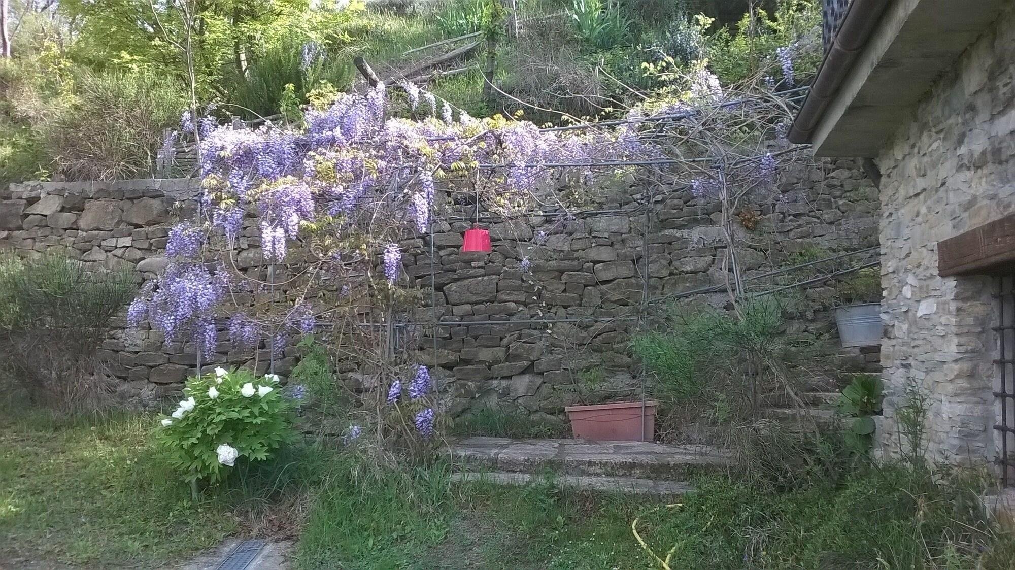 Comodidades del Alojamiento B&B La Civetta