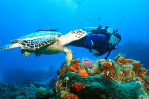 Passagem - Voos para Cozumel