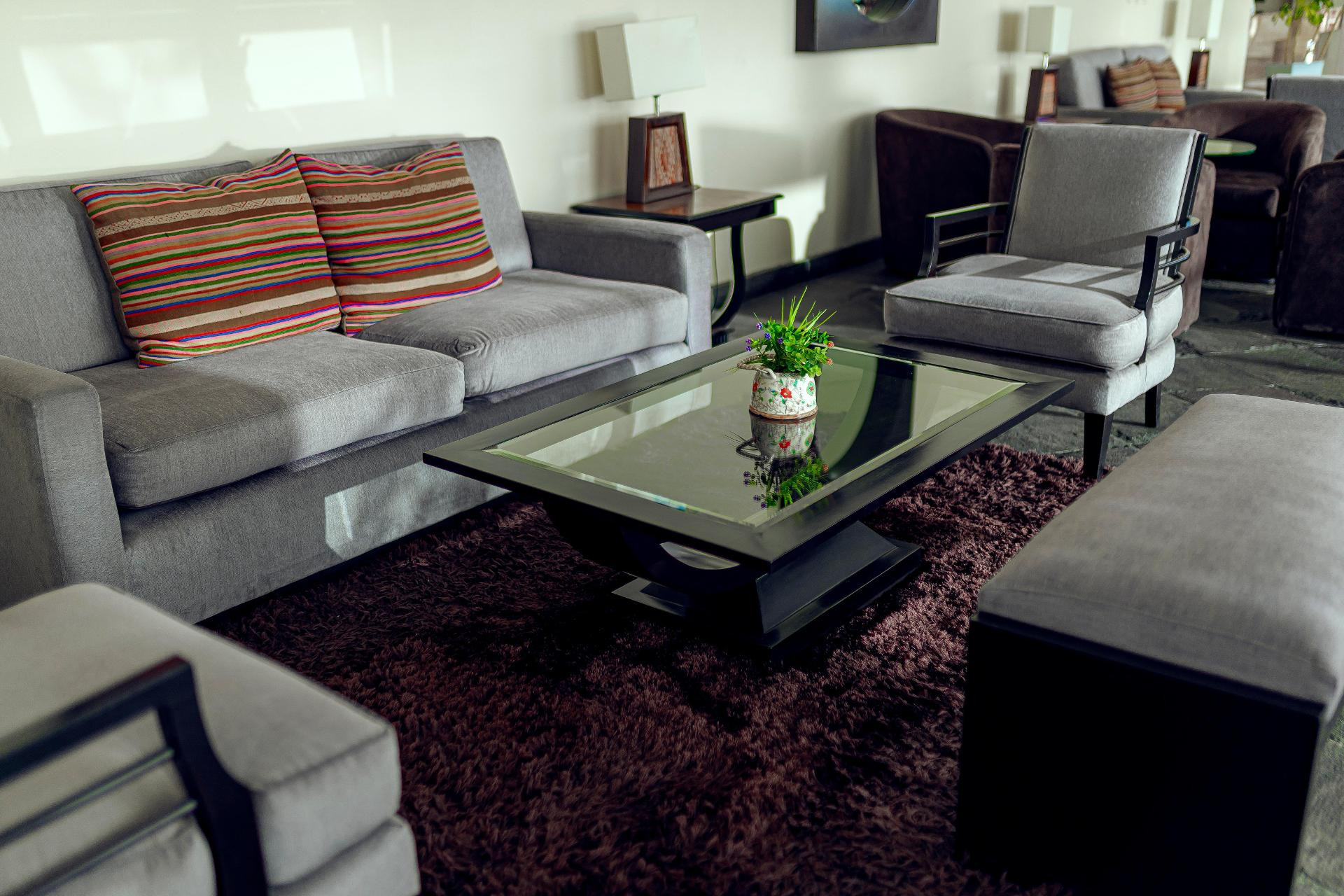 Vista Lobby Jose Antonio Puno