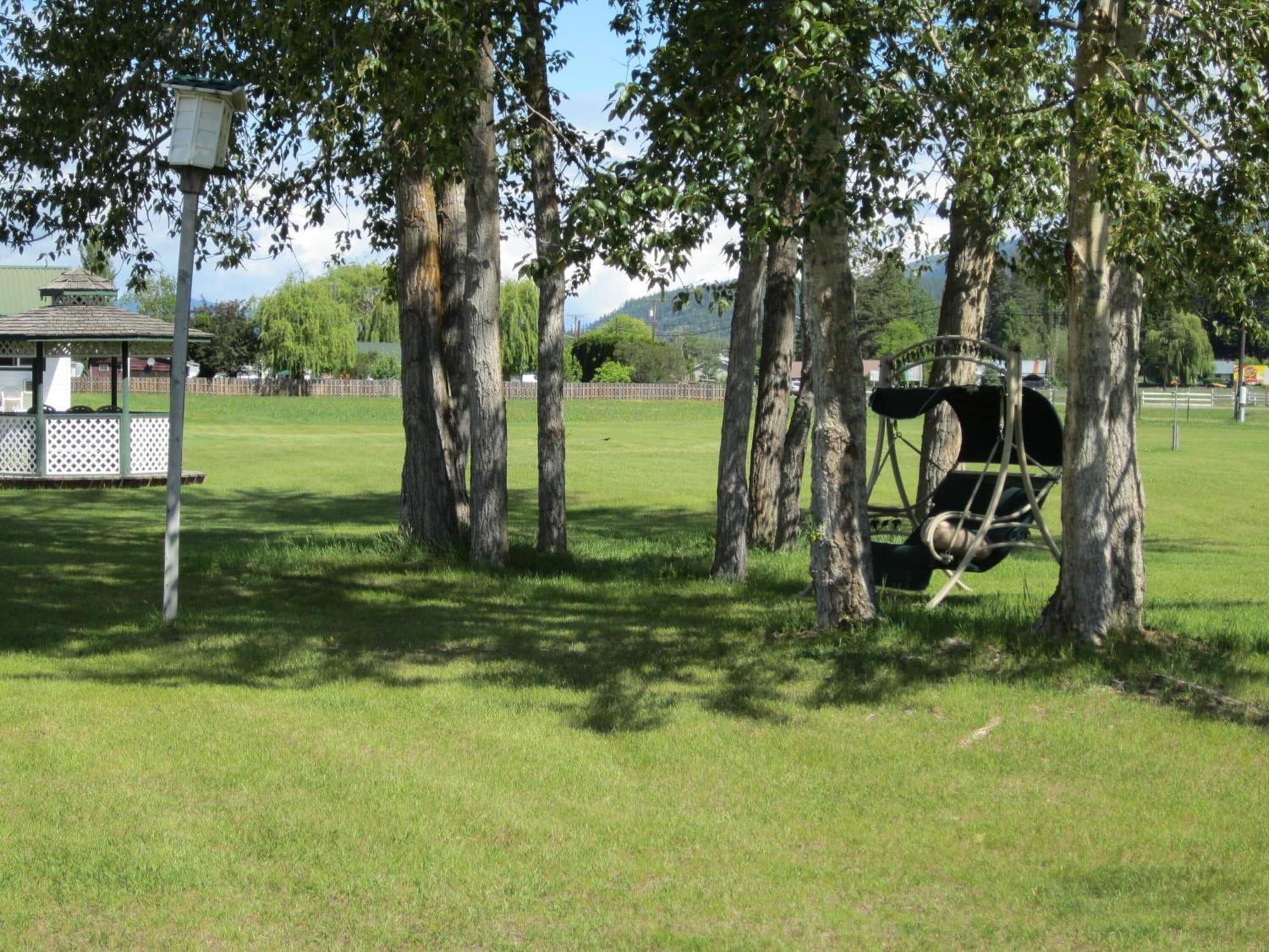 Comodidades del Alojamiento Mountain Springs Motel & RV Park