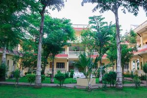 Alojamiento - Hotel Rainforest