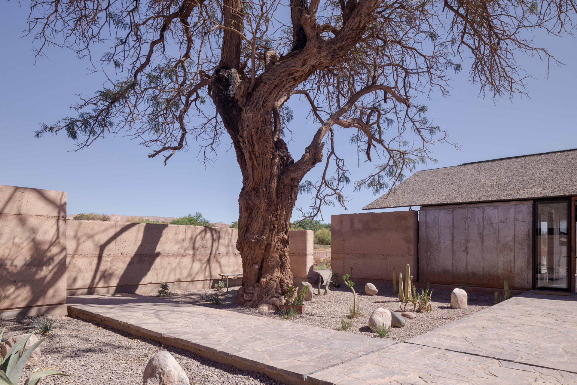 Varios Fauna Hotel Atacama