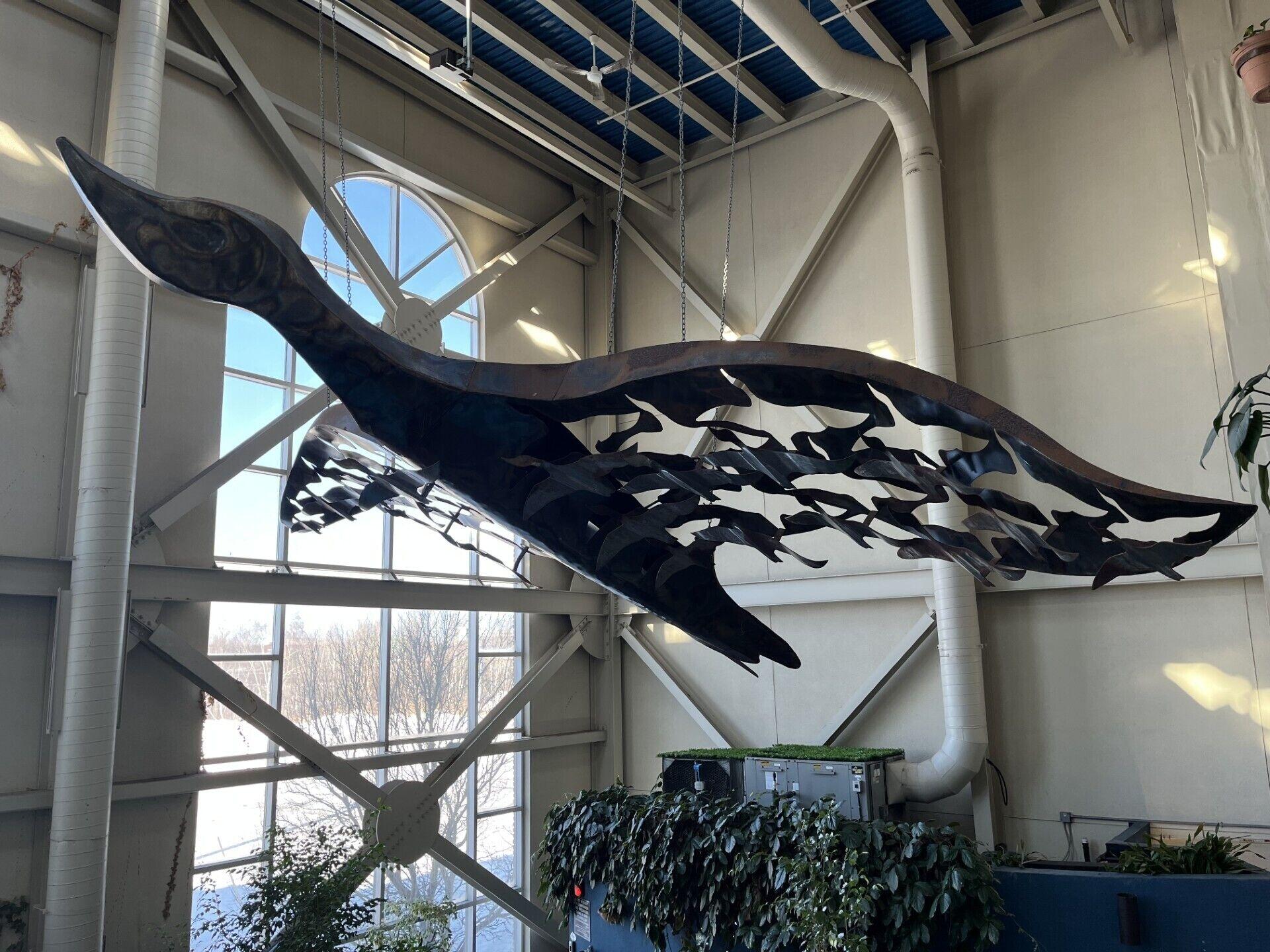 Vista Piscina Hotel L'Oie des neiges