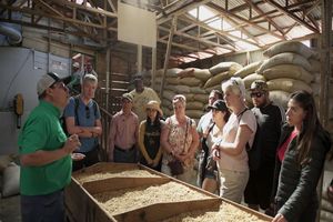 Actividad - Excursión al Beneficio de Café Doka y Volcán Poás