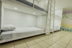Alojamiento - SJO Oasis Hostel