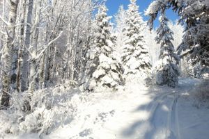 Alojamiento - Silvern Lake Trail Bed & Breakfast