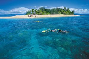Actividad - Wavedancer Low Isles Cruise from Port Douglas