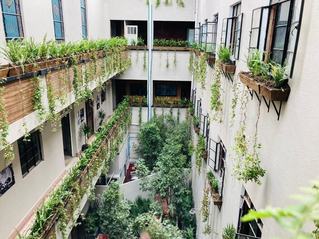 Varios Roma Norte Hostal