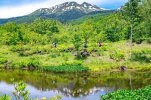 Alojamiento - Northstar Alpine Lodge