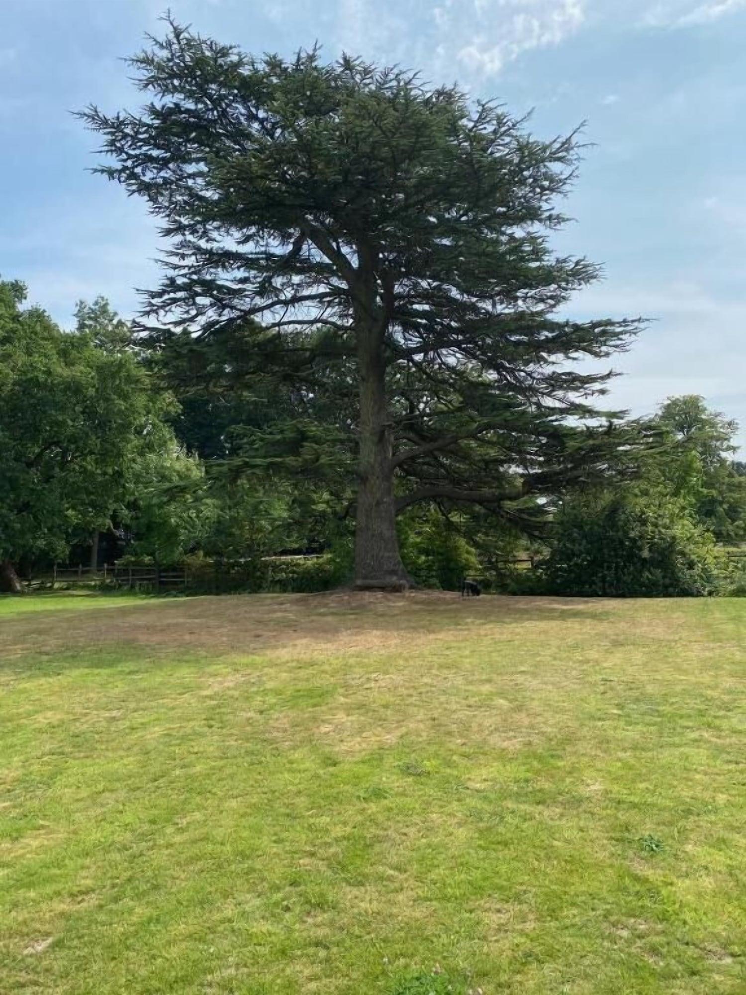 Campo de Golf Coundon Lodge