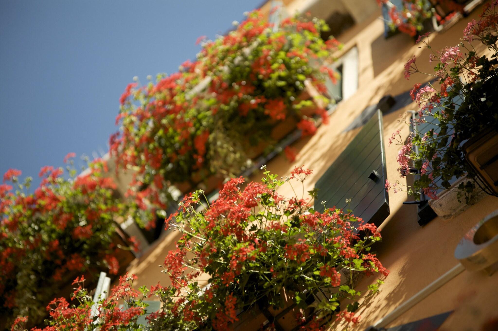 Vista Exterior Hotel Al Codega