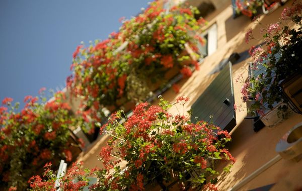 Hotel Al Codega