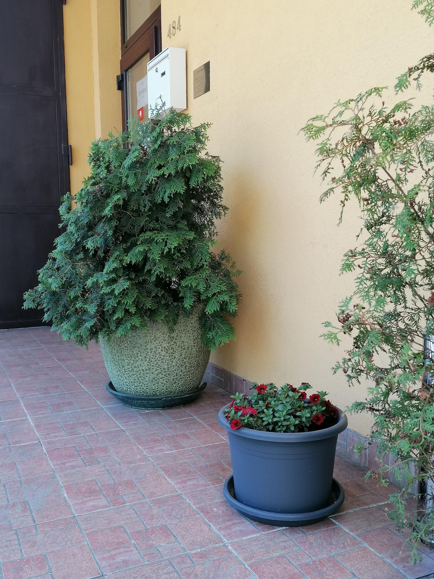 Vista Exterior Hotel Arko