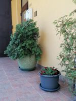 Alojamiento - Hotel Arko