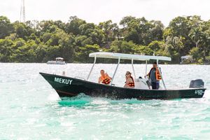 Actividad - Tour en lancha con visita a cenotes