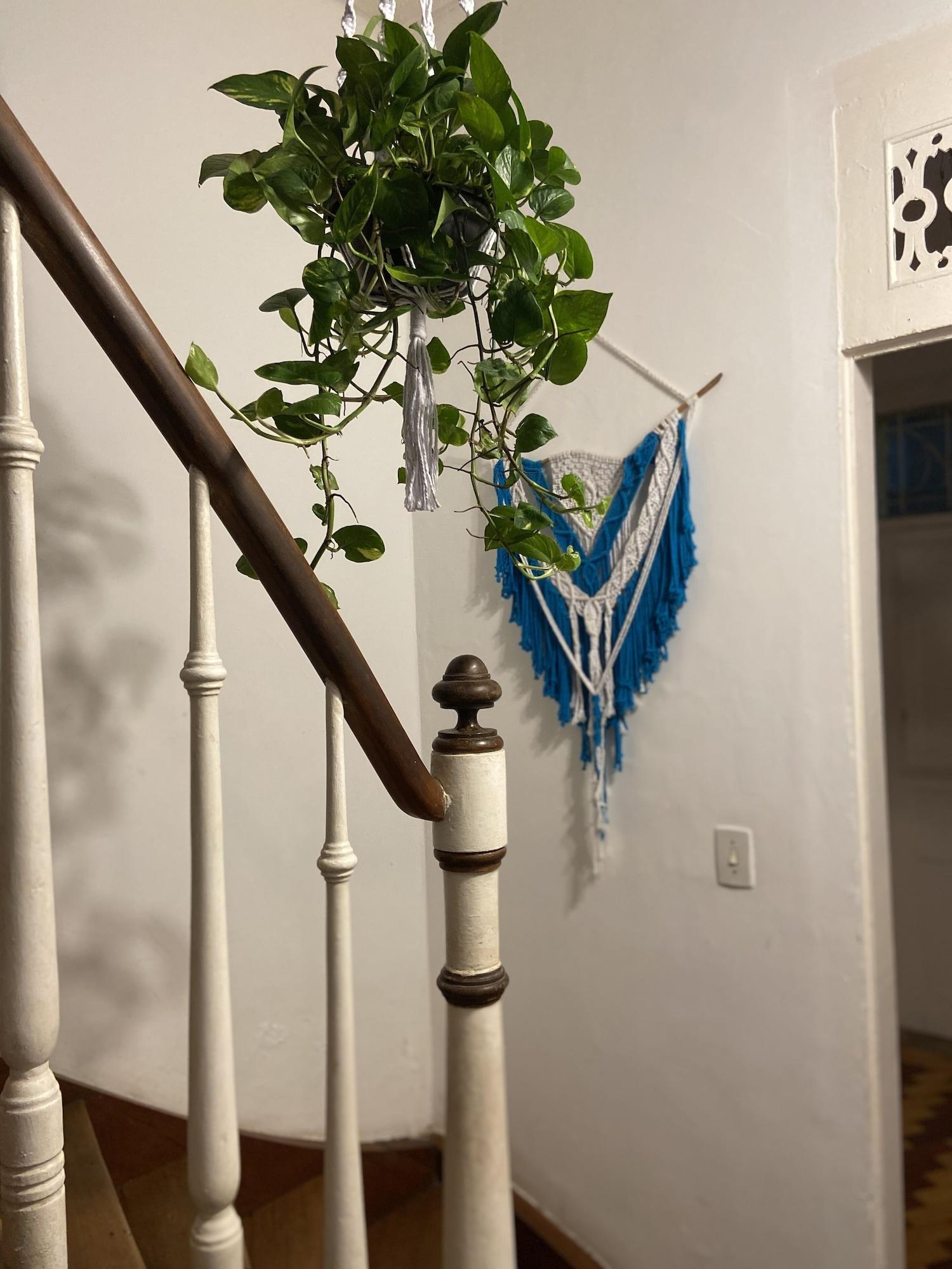 Varios Odara Hostel & Guesthouse