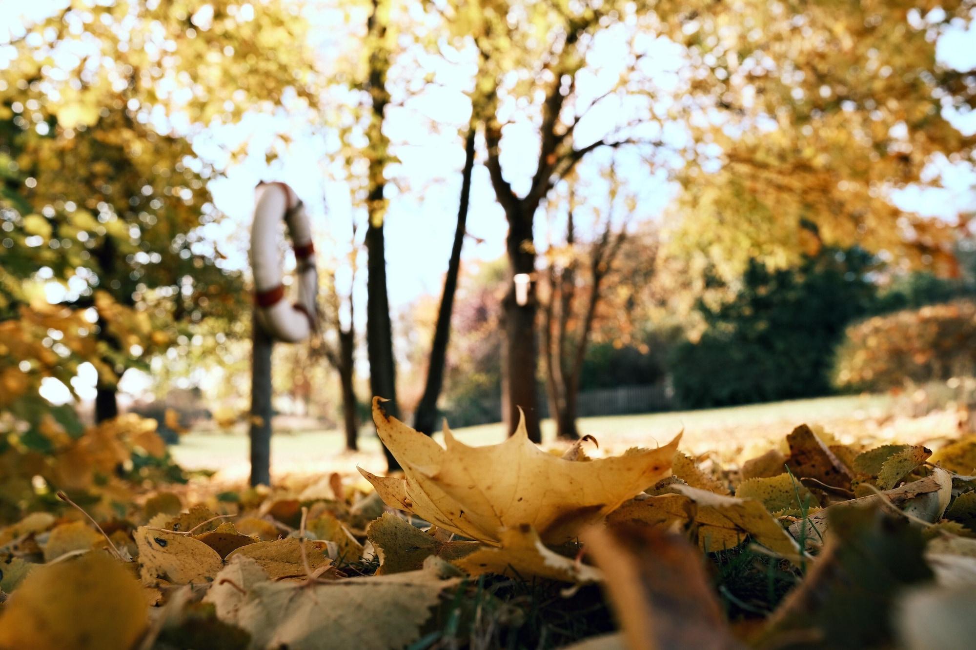 Vista Exterior Hotel Sturm Bio- & Wellnesshotel in der Rhön