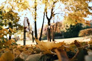 Alojamiento - Hotel Sturm Bio- & Wellnesshotel in der Rhön